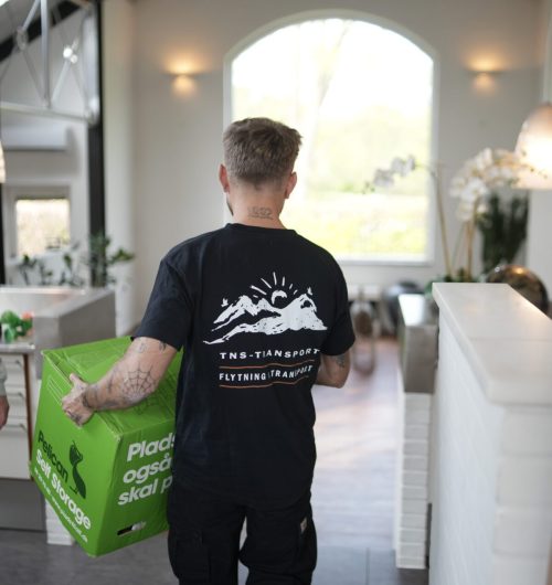 Mand bærer kasse i hjemmet