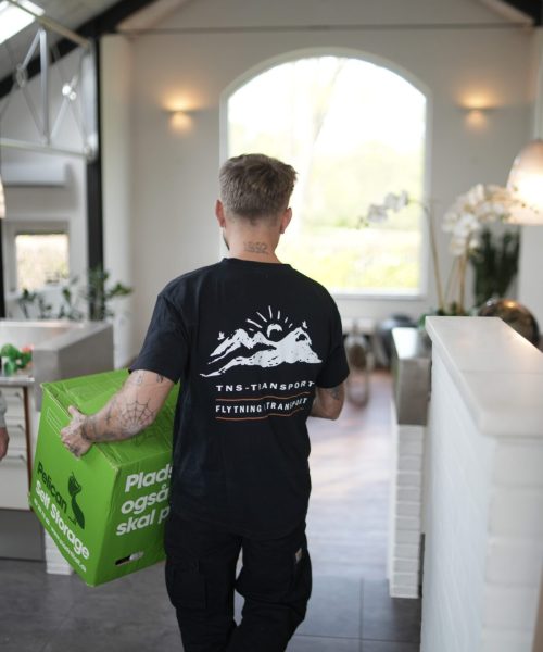 Mand bærer kasse i hjemmet